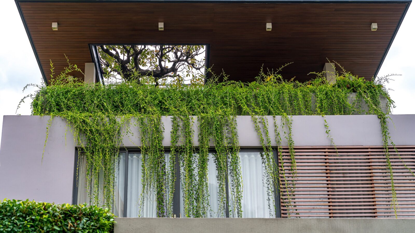 Thiết kế thi công biệt thự hiện đại nhiệt đới 3 tầng Duyet Villa Biên Hòa - mái đua gỗ và dây leo